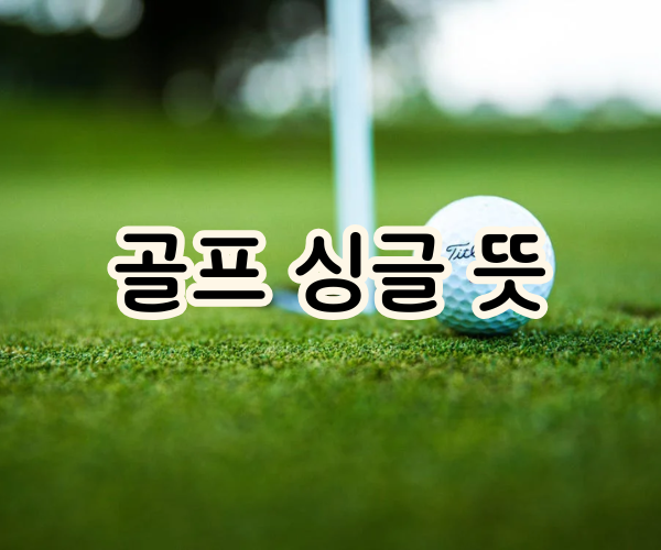 골프 싱글 뜻